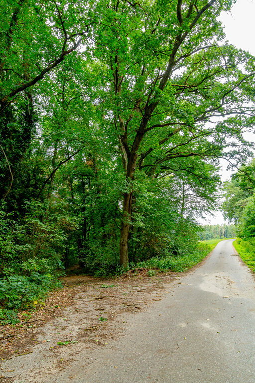 Image: 08_JA 40714 Natur pur.jpg